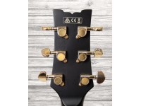 Ibanez JSM-20 Black Low Gloss Ibanez JSM-20 Black Low Gloss